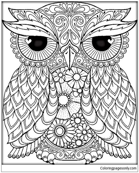 mandala owl coloring page  coloring pages