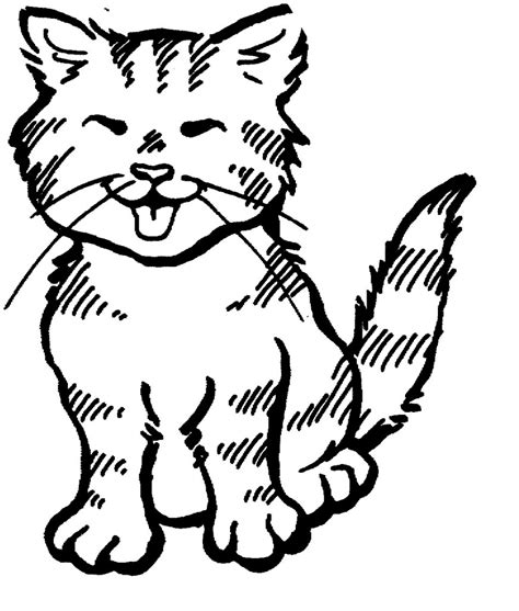 Cat Coloring Pages Easy Coloring Pages