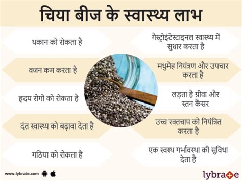 चिया बीज के फायदे और नुकसान Benefits Of Chia Seed In Hindi