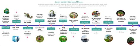 Linea Del Tiempo De Las Leyes Ambientales En Mexico