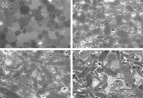 Sem Micrographs Of Aluminas Sintered With A Mgo B Anorthite Mgo