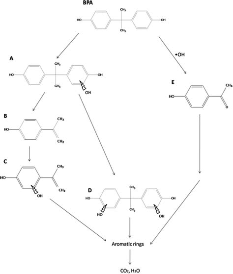 Proposed Reaction Pathways Of Bisphenol A Bpa Degradation Download