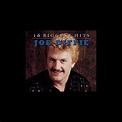 ‎16 Biggest Hits: Joe Diffie by Joe Diffie on Apple Music