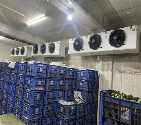 Banana Ripening Cold Room Design And Storage Solutions