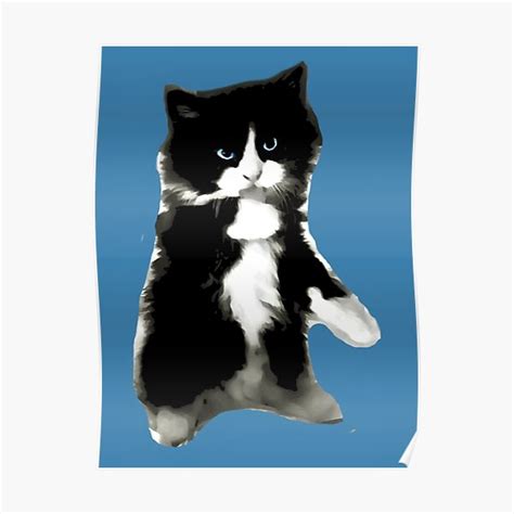 Cute Blue Eyed Black And White Kitten Poster For Sale By Rtrivella