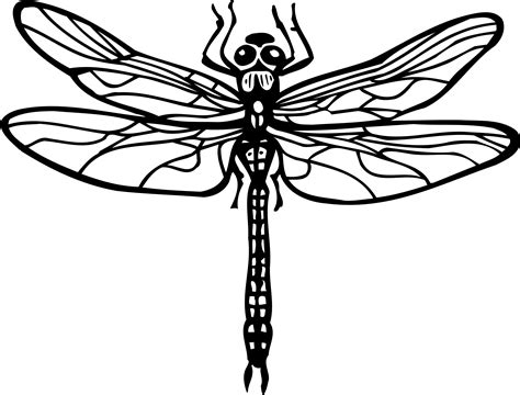 For kids & adults you can print dragon or color online. Dragonfly Coloring Pages to download and print for free