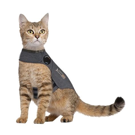 Providing a safe hiding place is probably one of the. ThunderShirt - Classic | ThunderShirt