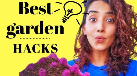 garden hacks you want to know hacks that will blow your mind easy home gardening hacks