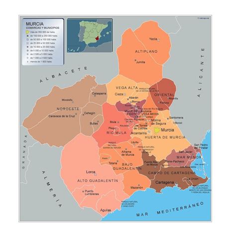 Mapa Municipios Murcia Vector Maps