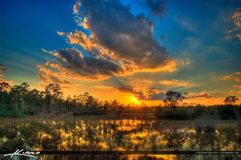 Swamp Wetlands Sunset Sweetbay Park West Palm Beach Florida Hdr