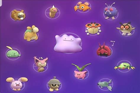 completed guide on how to catch ditto in pokemon go 2021 guu vn