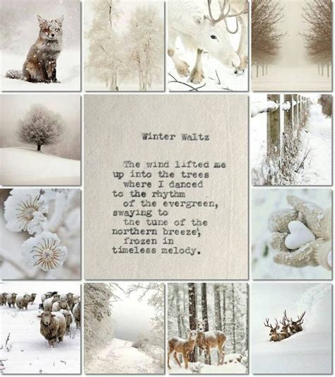 Pin By Amy On Collages Winter Love Winter Christmas Winter Scenes