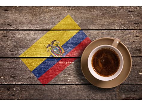 Coffee Industry Ecuador Coffeeynyaua