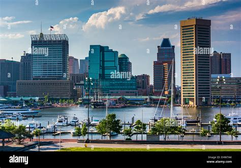 View Of The Baltimore Skyline And Inner Harbor From Federal Hill