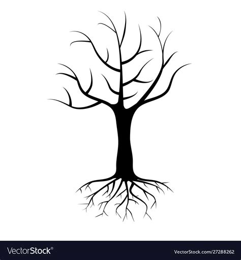 Dead Single Tree With Roots Isolated On White Vector Image