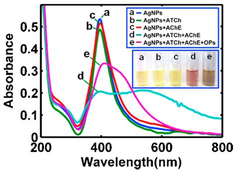 Chemosensors Free Full Text Silver Nanoparticles As Colorimetric