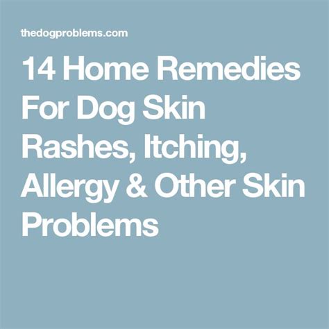 14 Home Remedies For Dog Skin Rashes Itching Allergy And Other Skin
