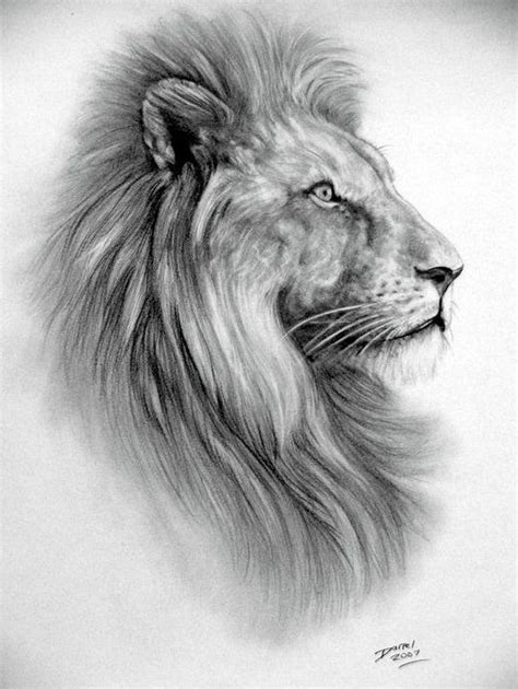 Make the lines on the face of your art drawing image. Pin by Anchal Shah on Pencil Sketch | Lion art, Lion ...