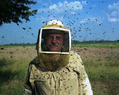 The Peace Bee Farmer Honey Bee Emotions