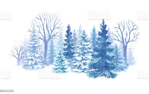 Watercolor Winter Forest Illustration Christmas Fir Trees