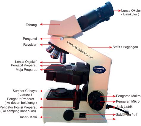 Pengertian Dan Fungsi Mikroskop Serta Bagian Bagian Mikroskop Lengkap