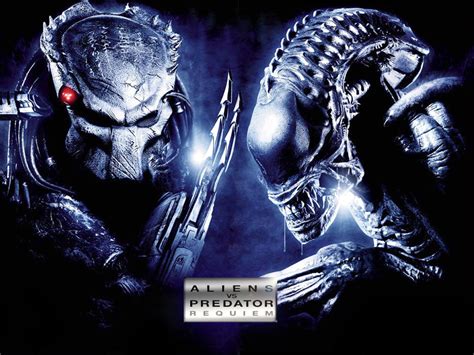 aliens vs predator requiem wallpapers movie hq aliens vs predator requiem pictures 4k