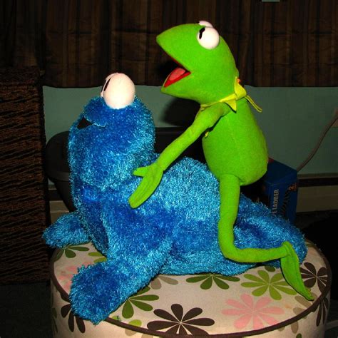 Kermit The Frog And Cookie Monster Heather Gwinn Flickr