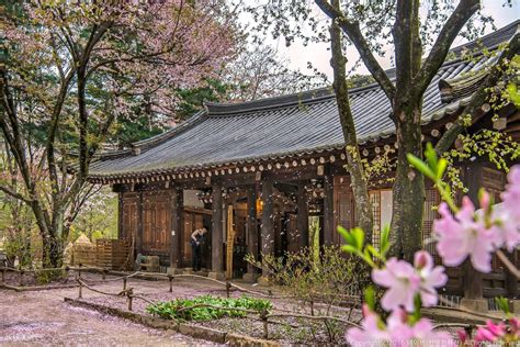 It offers a different experience in every season, making it a great respite from the bustling metropolis of seoul. Book Nami Island Round Trip Transfer and Admission Ticket ...
