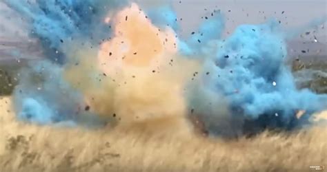 New Video Of Border Patrol Agents Gender Reveal Party Explosion That