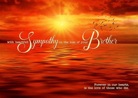 Loss Of A Brother Sympathy Sunset Ocean Card Ad Sponsored