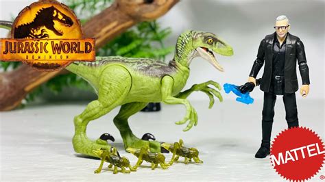 Mattel Jurassic World Dominion Dr Ian Malcolm And Velociraptor Review Dino Pack Youtube