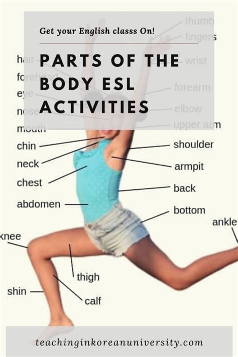 The good news is that you don't have to reinvent the wheel because there are a ton of great bodyparts. Parts of the Body ESL Activities, Games, Worksheets & Lesson Plans