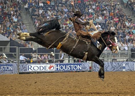 Stampede Horse Shatters Arena Record In Houston Blog