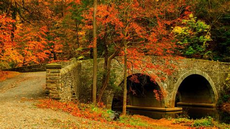 Nature Road Leaves Trees Forest Park Bridge Colorful Path Autumn