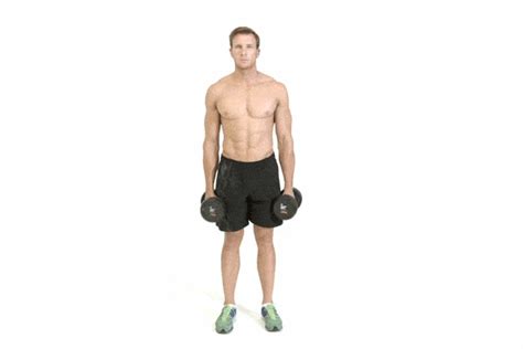 25 Of The Best Dumbbell Exercises For Building Muscle Dumbell Workout