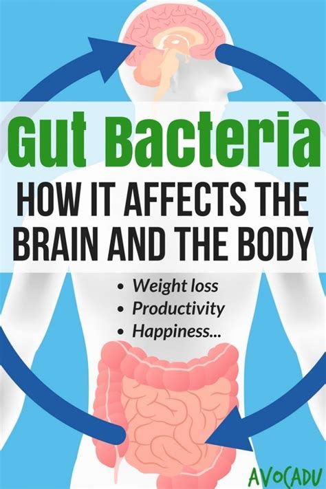 How Gut Bacteria Affects The Body And The Brain Artofit