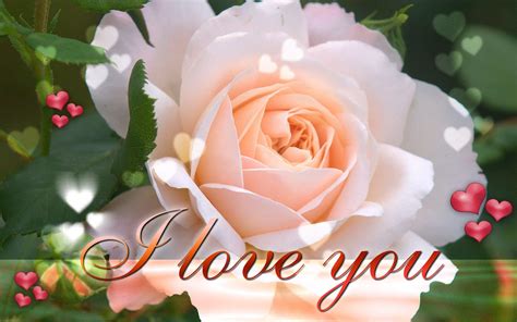 New Latest I Love You Wallpapers On This Valentines Day 2016