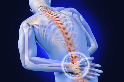 Flat bones protect internal organs. Lumbar Fusion: What You Need To Know About This Back Surgery