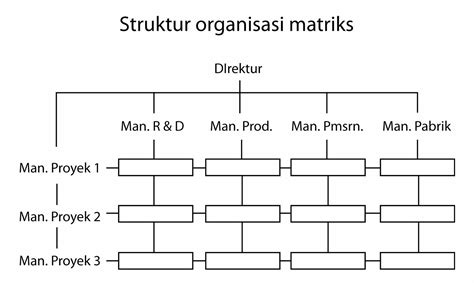 Kelebihan Dan Kelemahan Struktur Organisasi Matriks Berbagi Struktur