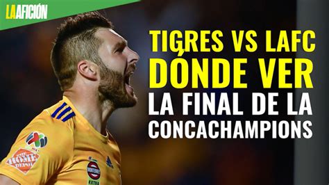 Final Tigres Vs Lafc D Nde Ver En Vivo Concachampions Grupo Milenio