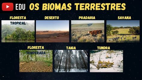 Quais São Os Principais Biomas Terrestres Da Terra Answer Pt