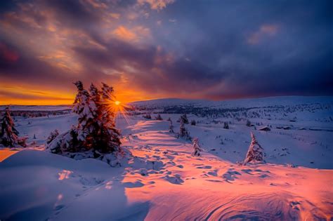 Winter Sunset Hd Wallpaper Background Image 1920x1276 Id890518