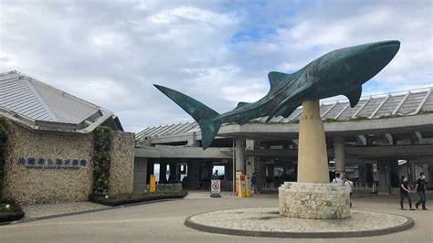 Okinawa Churaumi Aquarium Accessible Japan