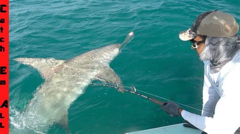 12 Ft Hammerhead Shark Destroys Our Fishing Boat Youtube
