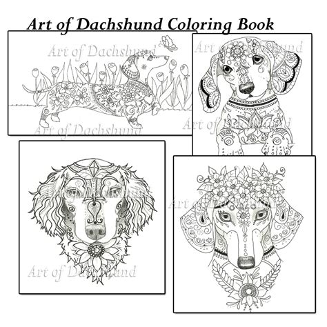 Explore the colors and patterns available at dapple doxie miniature dachshunds in colorado. Art of Dachshund Color Book. Facebook:ArtByEddy www ...