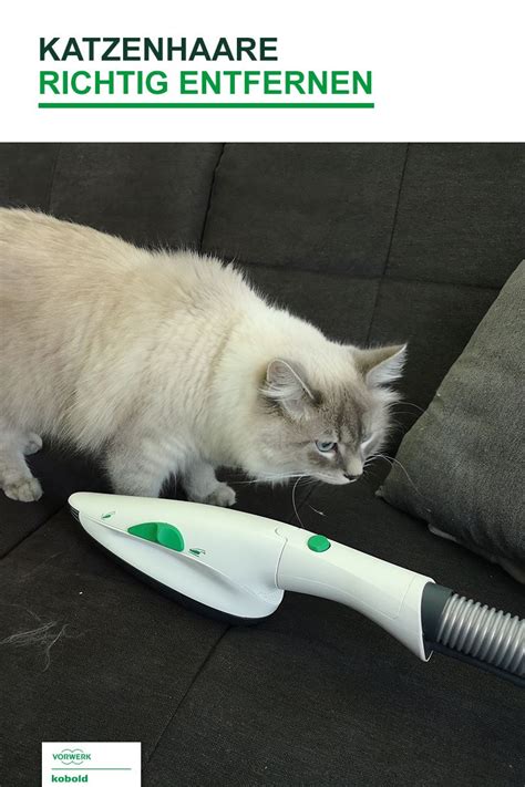 Geben sie neutralseife in wasser und wischen damit den urin auf. Katzenhaare auf dem Sofa und anderen Polstermöbeln. Was ...
