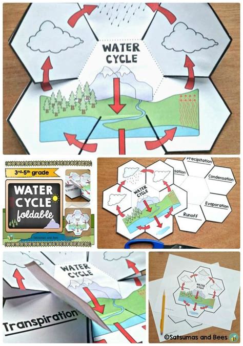 The Water Cycle Interactive Science Notebook Foldables Interactive
