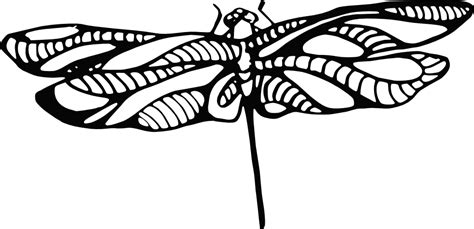 Free Dragonfly Outline Download Free Dragonfly Outline Png Images