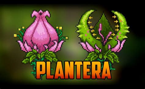 Terraria Plantera Caster Kill And How To Summon Youtube