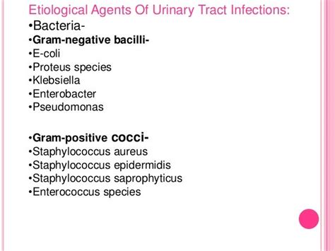 Bacteria In Urine Culture Negative